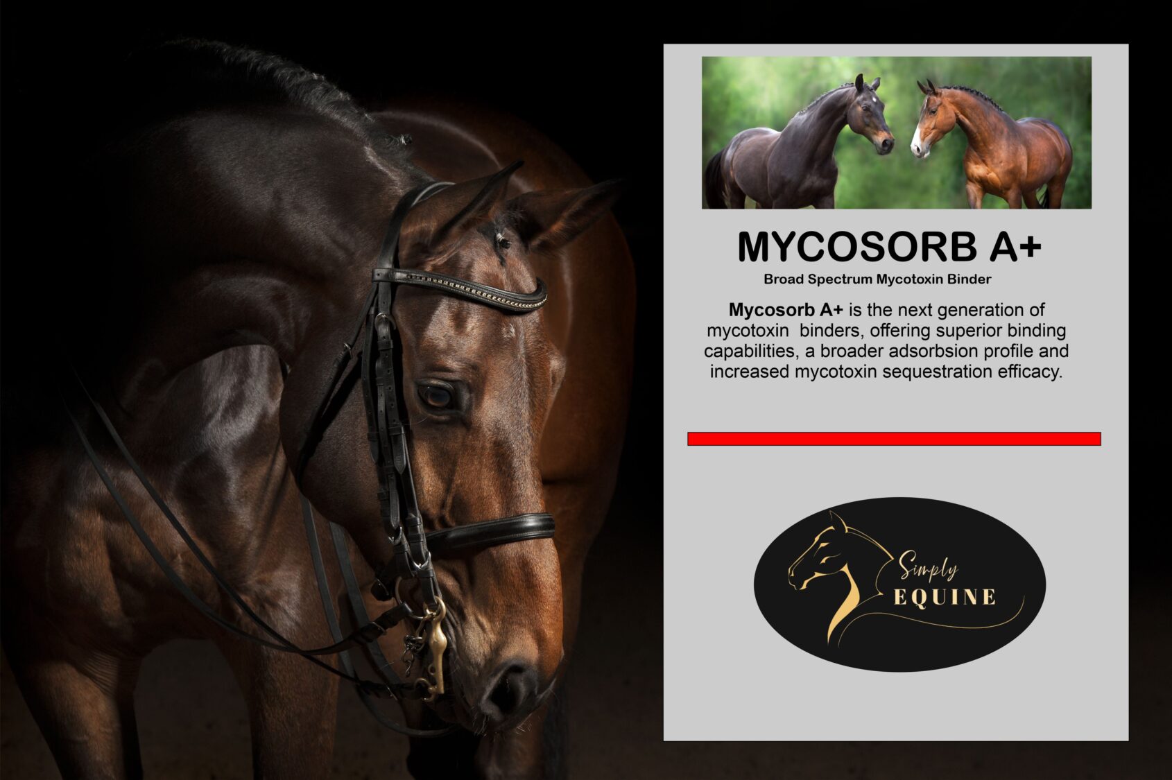 Mycosorb A+ Mycotoxin Binder