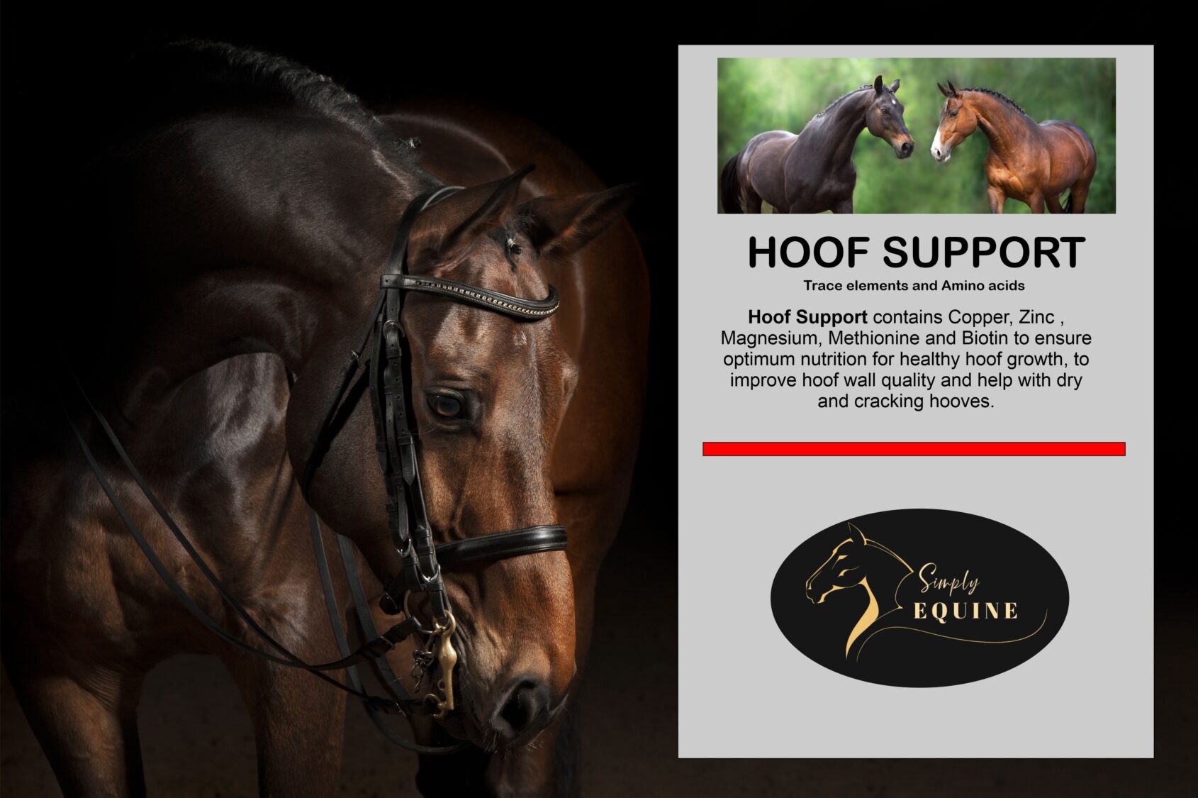 Hoof Support with Biotin
