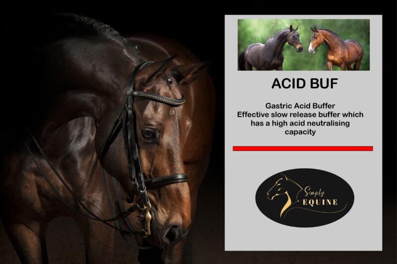 Acid Buf - Equine stomach acid buffer